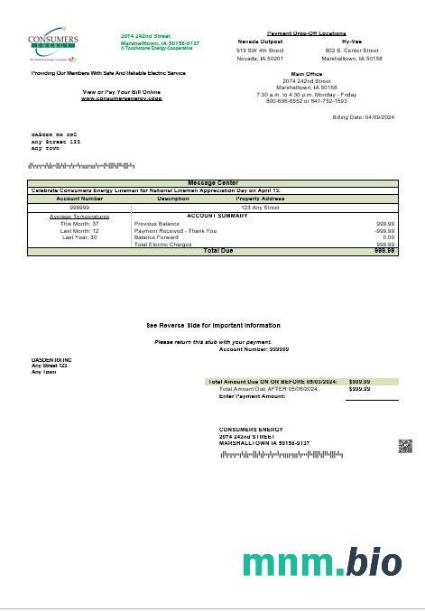 USA Consumers Energy rachunek za usługi komunalne szablon w formacie Word i PDF